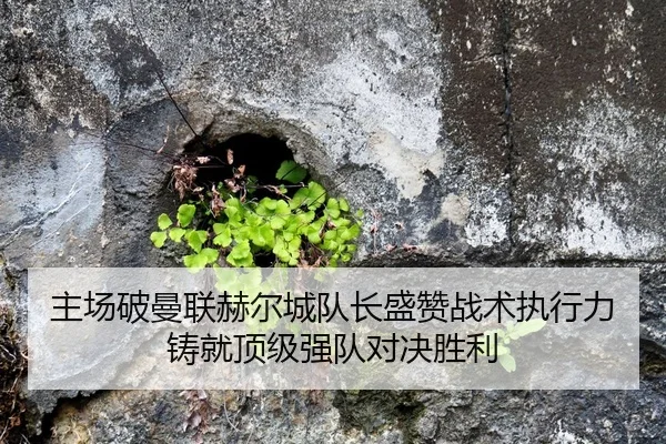 主场破曼联赫尔城队长盛赞战术执行力铸就顶级强队对决胜利